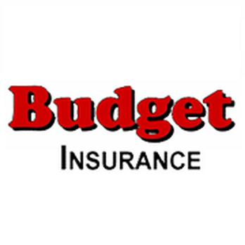 Understanding Coverage: What You Get with Budget Policies