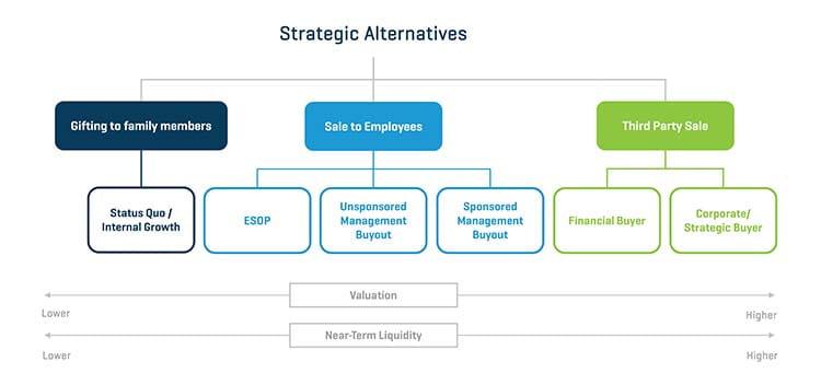 Navigating Strategic Options: Implications for Stakeholders